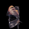 Anjanath-Helm