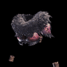 Anjanath-Panzerung β