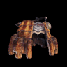 Barroth Coil β
