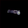 Diver's Belt
