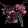 Hornetaur Mail α +