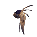 Jagras Helm β +
