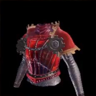 Cotta del Kaiser γ
