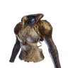 Kulve Taroth's Ire α