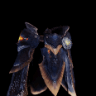 Spira di Lavasioth α +