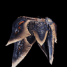 Spira di Lavasioth β
