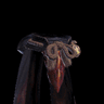 Odogaron Coil β