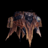 Tassette Rathalos β +