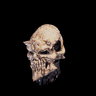Skull Mask α