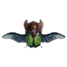 Culldrone III