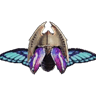 Emperatriz III