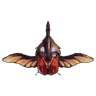 Foebeetle I