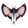 Schmetterbelle III
