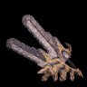 Rex Chain I