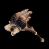 Striped Striker